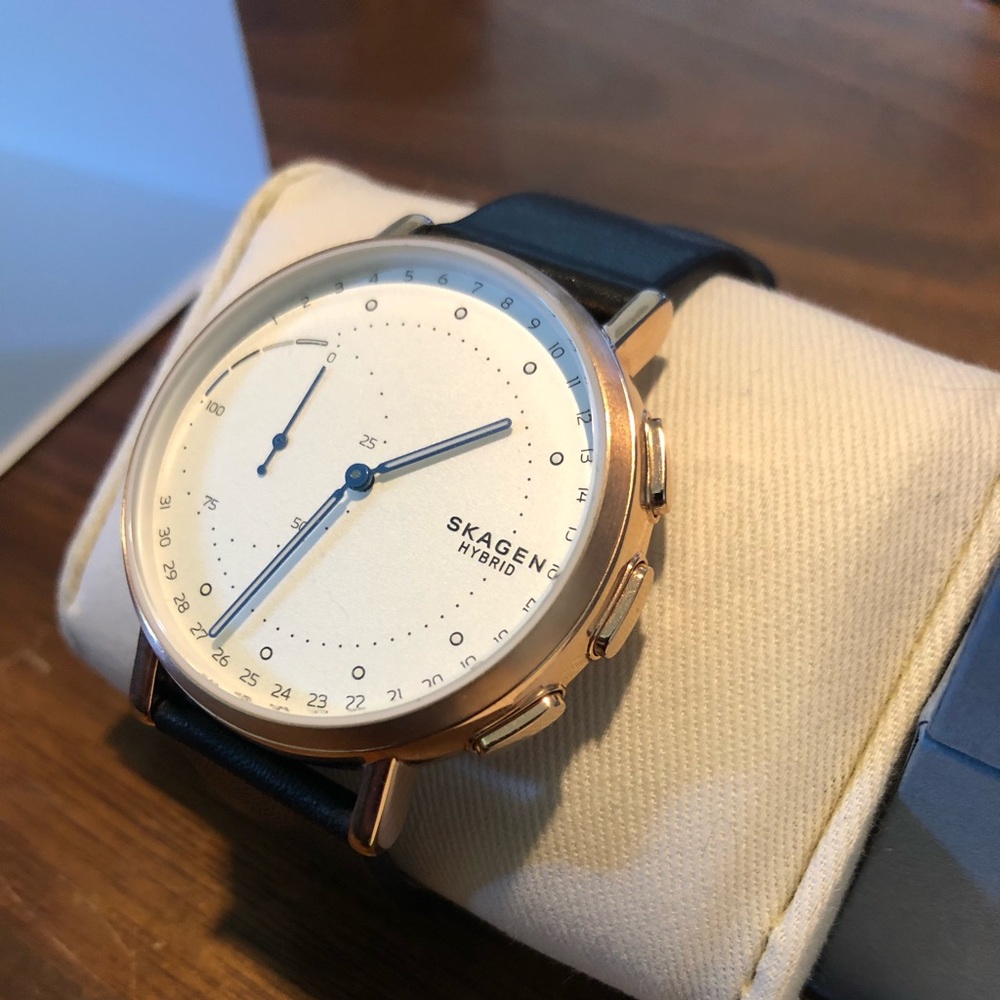 Skagen Connected Hybrid Smartwatch